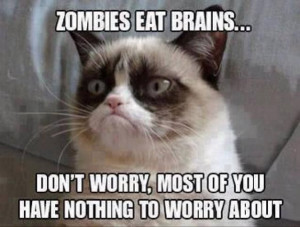 Top 40 Funny Grumpy cat Pictures and Quotes