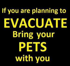 Prepper - Evacuate with your family & pets! #GoneBeforeGridlock