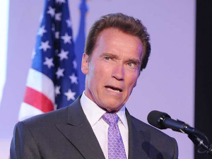 Top 30 Most Stupid Quotes By Celebrities