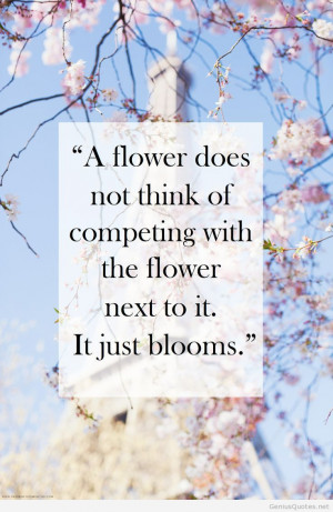 Quotes Of Wisdom For Men Hd Genius Quotes Part Wallpaper Hd