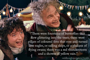 Lord of the Rings Quotes..Gandalf's famous fireworks :)