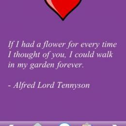 Download Love Quotes 500 1.3 for iPhone OS