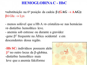 HEMOGLOBINA C - HbC substituição na 6 a posição da cadeia (GAG ...