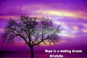 pin it like dream quotes dream quotes for enlightenment