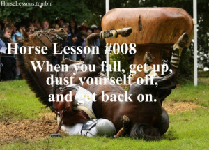 horse lesson nr. 8