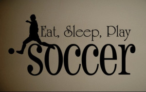 5pcs-lot-Wall-Decal-Art-Sticker-Quote-Vinyl-Wall-Decal-Eat-Sleep ...