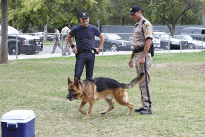 Nick Invetigates a Police Dog