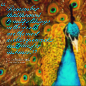 ... in the world are the most useless; peacocks and lilies for instance