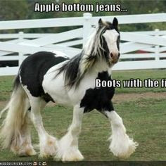 Horse Quotes Funny