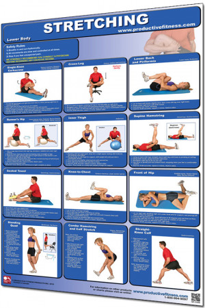 Stretching Lower Body Exercise Wall Chart Details