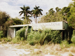 Live Though Because Florida