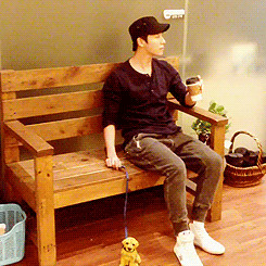 LOL gifs donghae twitter instagram idek lolololol donghae861015 ...