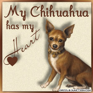 Pets Chihuahua Heart quote