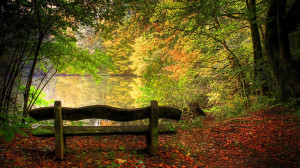 Free Download Hd Beautiful Autumn Lake Trees Love Seat Wallpaper