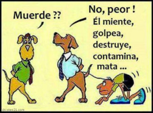 Chistes clasificados por temas