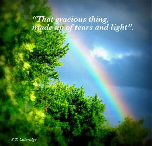 The rainbow in my backyard on May 15th, 2010 with the quote I love.
