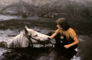 Videos Movie The Neverending Story The Hobbit: The Battle of the Five ...