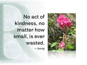 No act of kindness, no matter how small, is ever wasted. ~ Aesop
