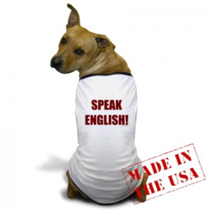speak english.img_assist_custom]
