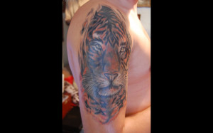 tiger tattoo designs quotes tiger tattoo designs ribs tiger tattoo