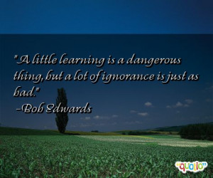little learning is a dangerous thing, but a lot of ignorance is just ...