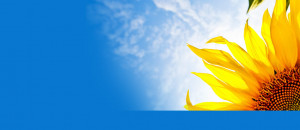 bright sunny day Facebook cover
