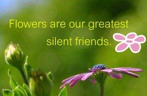 Flowers are our greatest silent friends.”
