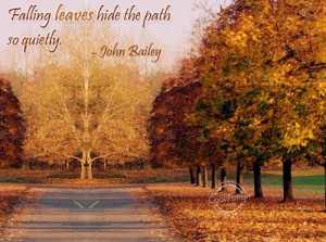 Autumn Quote: Falling leaves hide the path so quietly.... Autumn (5)