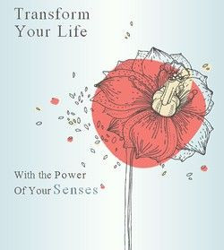 your senses and use them to make sense of the world after all your ...