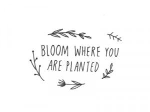 Past weekend was General Conference: www.lds.org