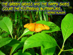 the green grass and the happy skies court the fluttering butterflies ...
