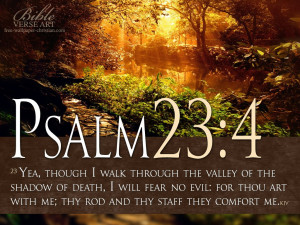 Psalm 23 4 Inspirational Bible Quotes | Psalm 23:4 Bible Verse