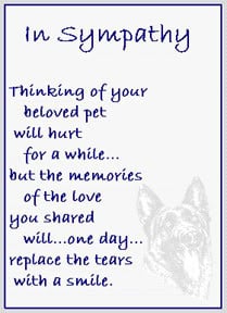 ... Of Your Beloved Pet Will Hurt For A While… – Pet Sympathy Cards