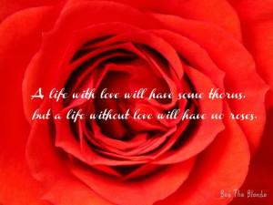 ... will have some thorns, but a life without love will have no roses
