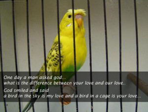 What is the difference between your love and our love..