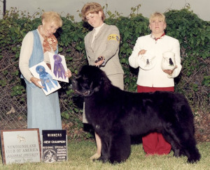 gomer pyle funny ecards