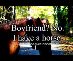 Horse Quotes About Life ♱life of an equestrian♱