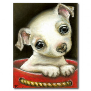 Funny Chihuahua Design...