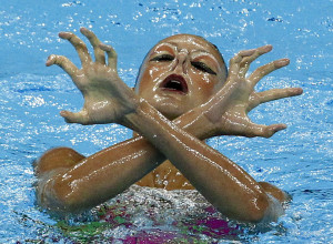 springboard diving quotes