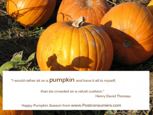 We Love Pumpkin Quotes