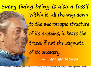 Jacques Monod quote “Every living being is also a fossil.”
