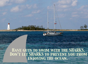 ... the sharks don t let sharks to prevent you from enjoying the ocean