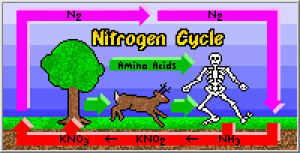 Facts About Nitrogen The...