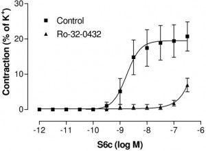 Contractile responses to S6c in the RMCA of vehicle or Ro 32 0432