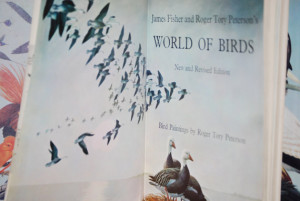 Vintage Book, James Fisher and Roger Tory Peterson's World of Birds