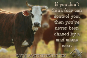 ... You Then You’ve Never Been Chased By A Mad Mama Cow - Cowboy Quote