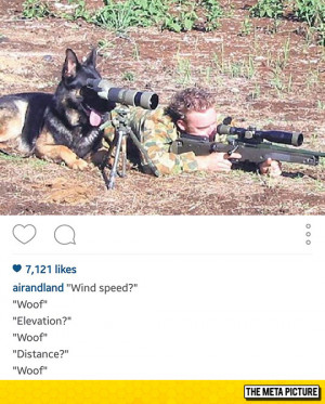 Rex You’re The Worst Spotter Ever | Funny Pictures and Quotes