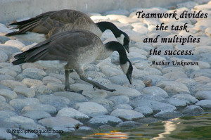 Famous Quotes About Teamwork and Success