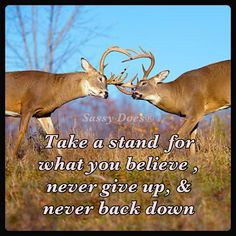 Take a stand for what you believe, never give up & never back down ...