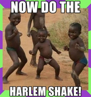 Really Funny Harlem Shake Quotes